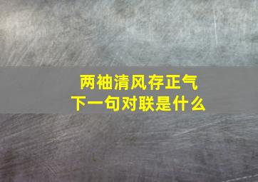 两袖清风存正气下一句对联是什么