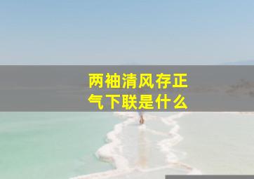 两袖清风存正气下联是什么