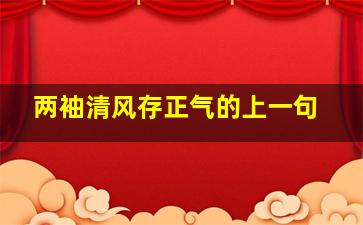 两袖清风存正气的上一句