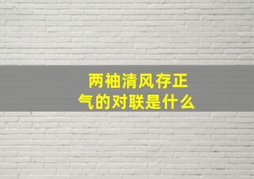 两袖清风存正气的对联是什么