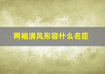 两袖清风形容什么名臣