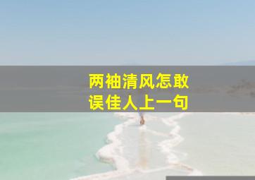 两袖清风怎敢误佳人上一句