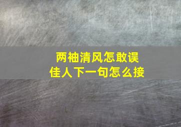 两袖清风怎敢误佳人下一句怎么接