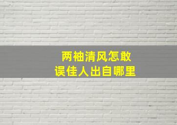 两袖清风怎敢误佳人出自哪里