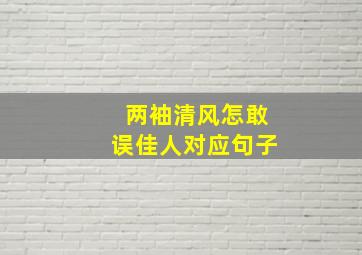 两袖清风怎敢误佳人对应句子