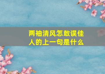 两袖清风怎敢误佳人的上一句是什么