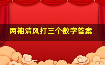 两袖清风打三个数字答案