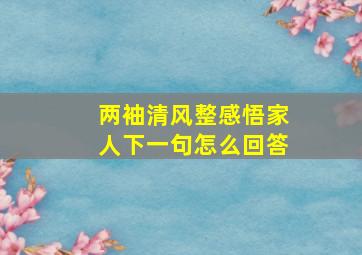 两袖清风整感悟家人下一句怎么回答