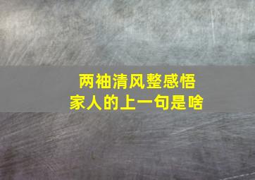 两袖清风整感悟家人的上一句是啥