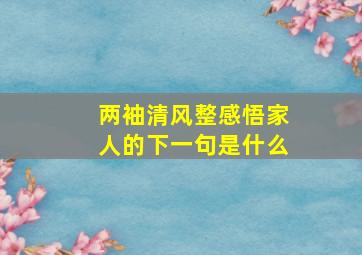 两袖清风整感悟家人的下一句是什么