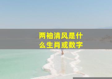 两袖清风是什么生肖或数字