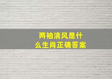 两袖清风是什么生肖正确答案