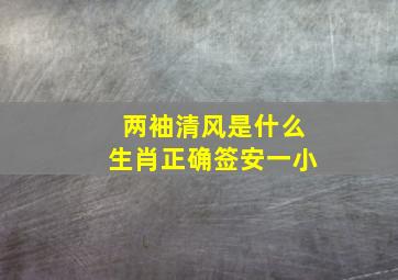 两袖清风是什么生肖正确签安一小