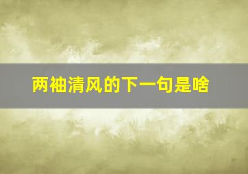 两袖清风的下一句是啥