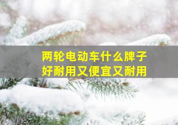 两轮电动车什么牌子好耐用又便宜又耐用