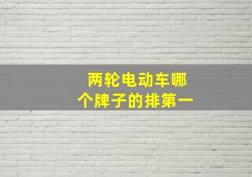 两轮电动车哪个牌子的排第一