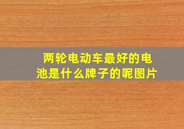 两轮电动车最好的电池是什么牌子的呢图片