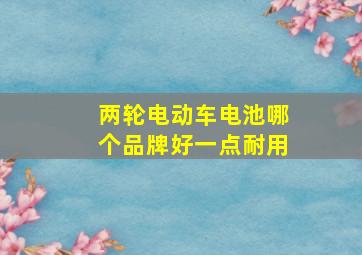 两轮电动车电池哪个品牌好一点耐用