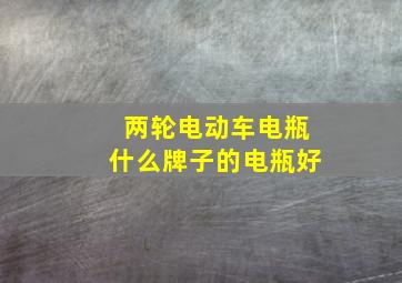 两轮电动车电瓶什么牌子的电瓶好