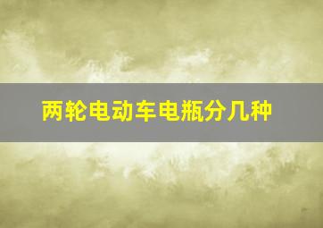 两轮电动车电瓶分几种