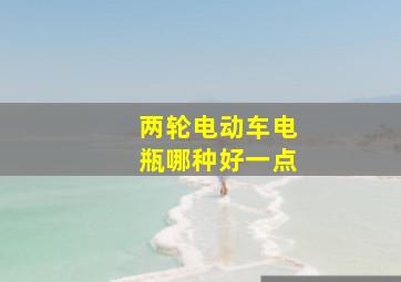 两轮电动车电瓶哪种好一点