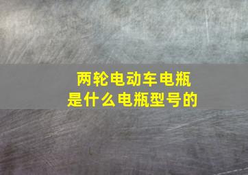 两轮电动车电瓶是什么电瓶型号的