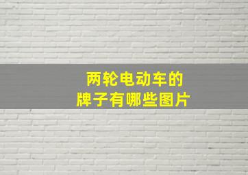 两轮电动车的牌子有哪些图片