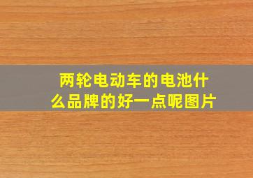 两轮电动车的电池什么品牌的好一点呢图片