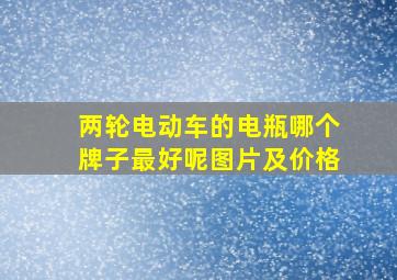 两轮电动车的电瓶哪个牌子最好呢图片及价格