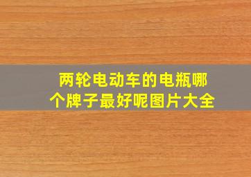 两轮电动车的电瓶哪个牌子最好呢图片大全