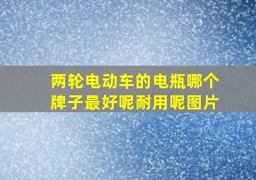 两轮电动车的电瓶哪个牌子最好呢耐用呢图片