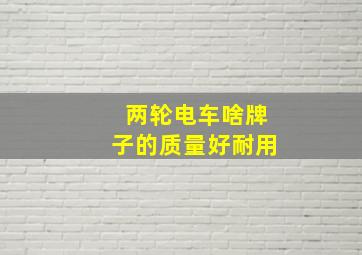 两轮电车啥牌子的质量好耐用