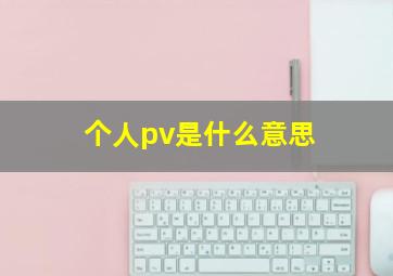 个人pv是什么意思