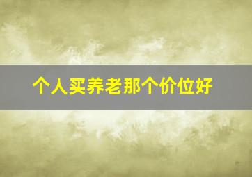 个人买养老那个价位好