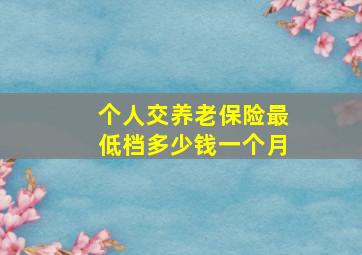 个人交养老保险最低档多少钱一个月