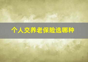 个人交养老保险选哪种