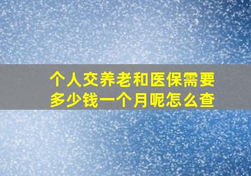 个人交养老和医保需要多少钱一个月呢怎么查