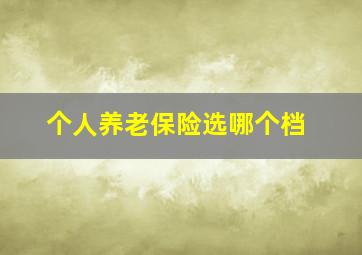 个人养老保险选哪个档