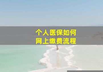 个人医保如何网上缴费流程