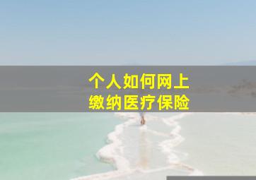 个人如何网上缴纳医疗保险