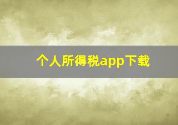 个人所得税app下载