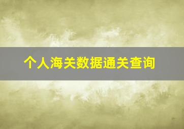 个人海关数据通关查询