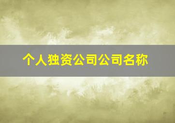 个人独资公司公司名称