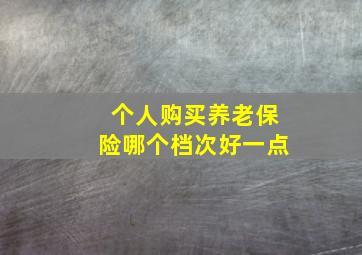 个人购买养老保险哪个档次好一点