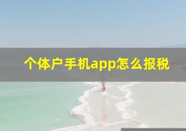 个体户手机app怎么报税