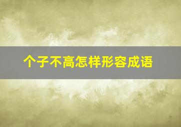 个子不高怎样形容成语