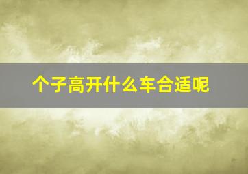 个子高开什么车合适呢