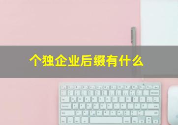 个独企业后缀有什么