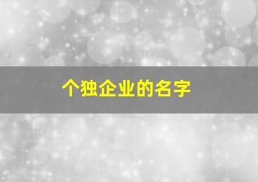 个独企业的名字