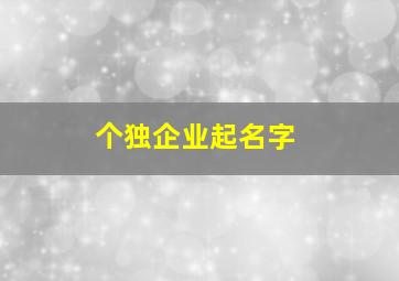 个独企业起名字